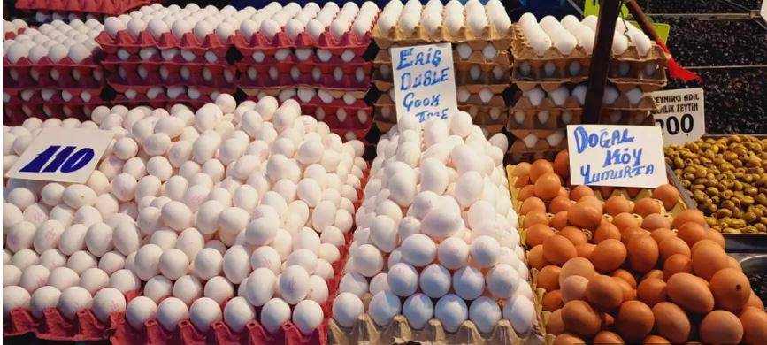 Beyaz mı kahverengi mi? Hangi yumurta daha sağlıklı? 33
